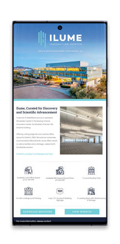 Ilume Email Campaign